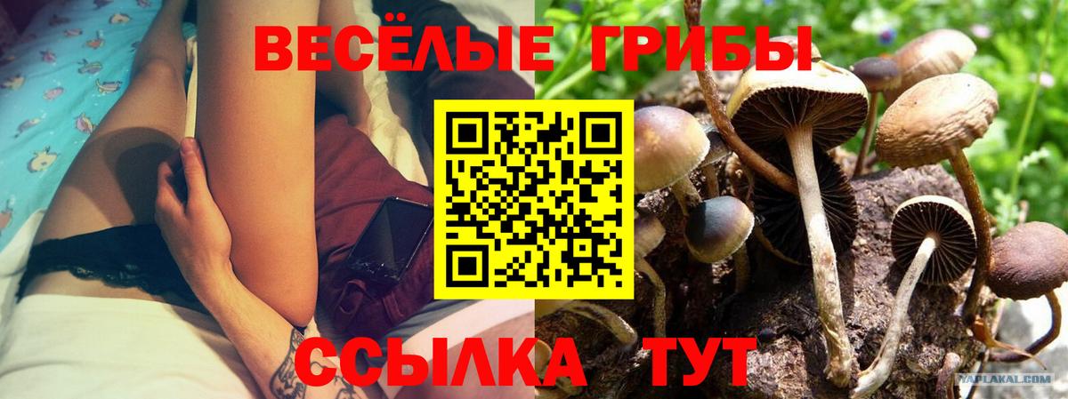 Псилоцибиновые грибы Magic Shrooms Дедовск